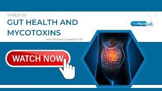 Gut Health and Mycotoxins