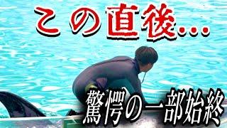 トレーナーが驚愕したランの行動とは　鴨川シーワールド　ラン