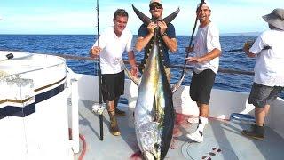 Apollo Sportfishing 2K - April 12-16 2016 - Cow Hunting - Nuevo Vallarta - FULL VIDEO