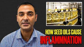 How do Seed Oils cause INFLAMMATION?