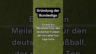 Wissenswertes über die Bundesliga #1. #shorts #Der Stadiontester