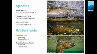 Fish of the Peninsula & the South Bay Watersheds - Saved by Nature & POST