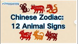 Chinese Zodiac：12 animal signs