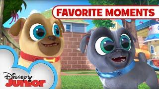 Puppy Playcare Part 2!  Compilation | Puppy Dog Pals | Disney Junior