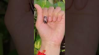 Unique and simple nail designs #nailart #youtubeshorts #trendingshorts #nailshorts #shortsviral