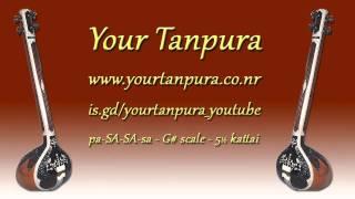 Your Tanpura - G# Scale - 5.5 Scale