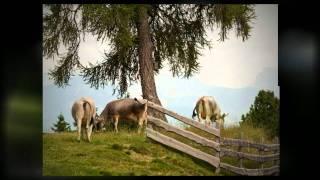 Barbian in Südtirol | Wandereindrücke um Villanders und dem Eisacktal