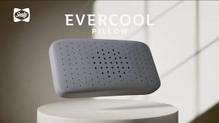 Sealy Evercool Pillow