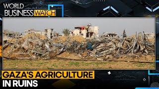 UN Warns Of Rising Famine Risk In Gaza | World Business Watch | WION
