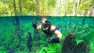 Searching for Treasure in FLOODED Forest Underwater!! (RARE Opportunity)