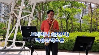 #오라버니 금잔디 #백승근색소폰Brother (Geum Jan-di) K-Trot playing tenor saxophone