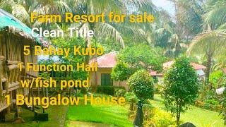 #V203 FARM LOT FOR SALE CLEAN TITLE  W/ HOUSE 500 puno Niyog 200 puno Rambutan 100 puno Mangoosten