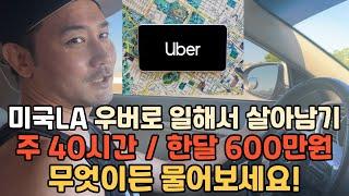 요즘 경기도 안좋은데 미국에서 Uber 직업 어떤가요?