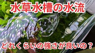 【プロが解説】水草水槽の水流