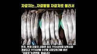 자갈치는 자갈밭을 자갈처로 부른데서 유래했습니다.