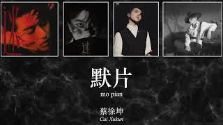 [ENG Sub + Pinyin]《默片》Mo Pian (《迷》专辑"Unknown"Album)蔡徐坤 Cai Xukun Lyrics Video 歌词