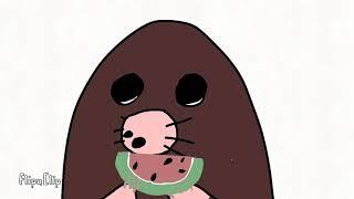 Mole-bear melon song animated