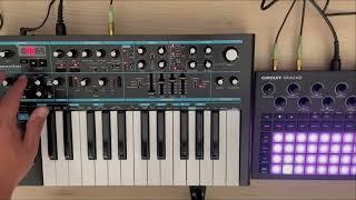 Bass station II + Circuit Tracks : jam to discover instruments