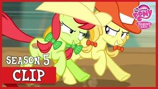 The Appleloosa Rodeo (Appleoosa’s Most Wanted) | MLP: FiM [HD]