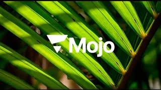 Mojo Design - Web Design Cyprus