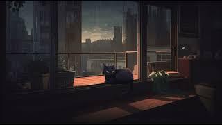 Peaceful Night on the Rooftop with my Cat • lofi cat    Sleep, Relax, Study, Chill x @lofiincities