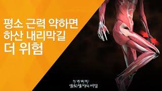 평소 근력 약하면 하산 내리막길 더 위험 - (2011.7.16_379회 방송)_내 몸을 살리는 똑똑한 등산