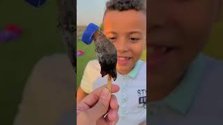 ي حبيبي ️