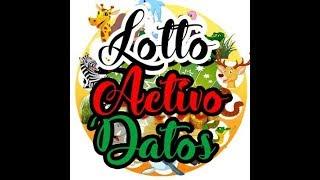 Datos Para Lotto Activo 19/10/2017 ( link del dato oculto abajo en la descripción)