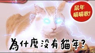 【黃阿瑪的後宮生活】為什麼沒有貓年？鼠年喵喵歌！