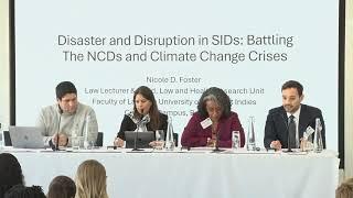 Disaster, Disruption & Resilience - Disaster & Disruption