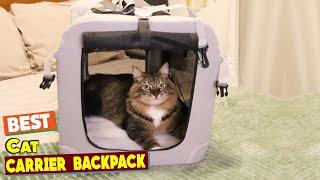 Big Cat, Big Comfort: 5 Best Carriers for Large Cats