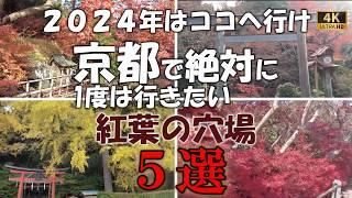 最新２０２４年絶対に行きたい紅葉の穴場スポット【京都】