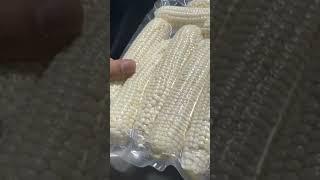 옥수수 진공포장하는 #업소용진공포장기 #복식진공포장기