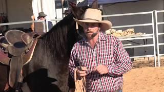 How to help an anxious horse (Mark Langley) It's how you are as a person