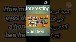 #guess the answer. Do you know ?. hafizwasim99 #youtubeshorts