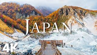 Japan 4K - Stunning Winter Landscapes in Hokkaido | Relaxing Scenery