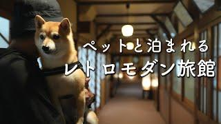 【犬連れ旅行】清里観光と野辺山荘に泊まる夏の信州旅（長野）