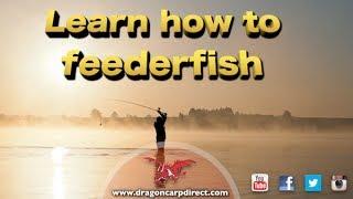 Learn brilliant feeder tips and catch more bream and roach