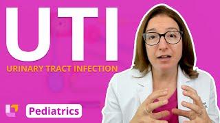 Urinary Tract Infection ( UTI ) : Alterations in Health - Pediatric Nursing | @LevelUpRN