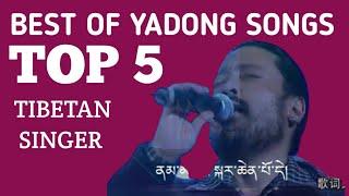 Tibetan Song | Best of Tibetan Singer Yadong | Tibetan Popular song