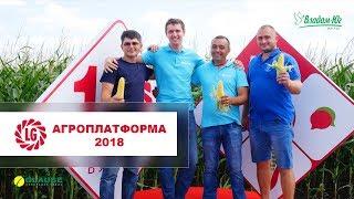 АгроПлатформа Limagrain 2018 | Владам-Юг | Семена Clause