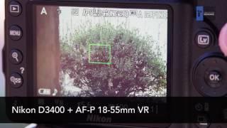 Nikon AF-P vs. AF-S Lens Focusing and Noise Comparison (Nikon D3400)