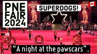 243 Superdogs performed at PNE Fair 2024