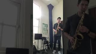 Ted Klum New York Model Alto Mouthpiece Demo