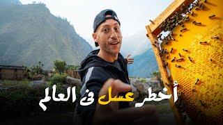 عسل الهلوسة - أخطر وأغلى عسل فى العالم  Mad Honey Hunters