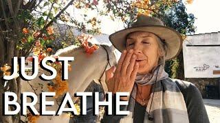 Just Breathe | The Power of the Breath