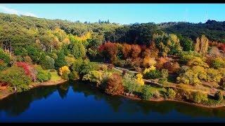 Autumn colours at Mount Lofty Botanic Garden 2017