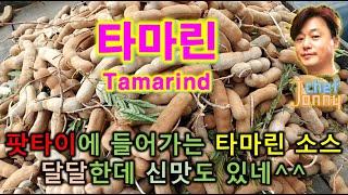 (캄보디아) 타마린 (tamarind)? 동남아 요리의 비법이 이거라고?