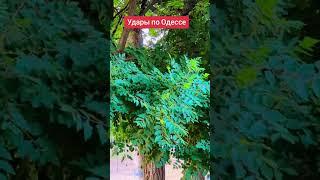 Удары по Одессе #лилияковаленко #odessa