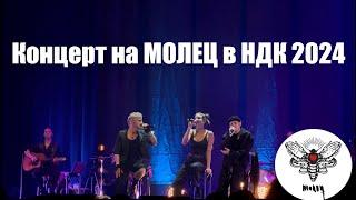 МОЛЕЦ АКУСТИЧЕН КОНЦЕРТ 2024 | Live Concert 2024 in 4K #молец #концерт